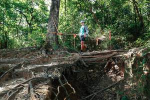 BIB: 
                            <button type="button" onclick="openModal(27799918)" class="btn btn-primary btn-sm float-right btn-popup" data-toggle="modal" data-target=".modal-high-quality">
                        <i class="fas fa-shopping-cart"></i> Add to Cart
                    </button>
                                            <button type="button" onclick="isThisMe(27799918, true)" class="btn btn-success btn-sm float-right btn-popup btn-isme hidden" data-toggle="tooltip" data-placement="bottom" title="นี่คือรูปของคุณใช่ไหม คลิกที่นี่เพื่อเอาเข้าอัลบั้ม">
                        <i class="fas fa-plus"></i> Add to album
                    </button>
                    <button type="button" onclick="isThisMe(27799918, false)" class="btn btn-warning btn-sm float-right btn-popup btn-isnotme hidden">
                        <i class="fas fa-ban"></i> Remove from album
                    </button>